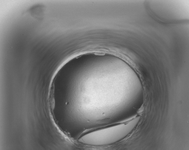 X0000067511536200604150120