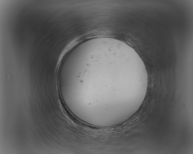 X0000067510004200604211803