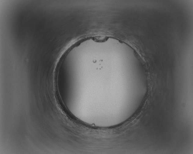 X0000067510008200604211803