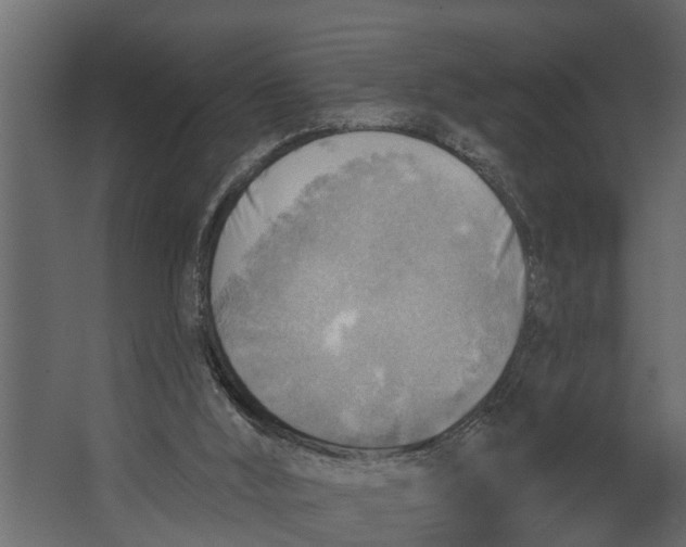 X0000067510012200604211803