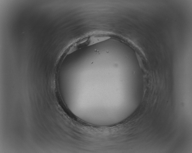 X0000067510015200604211803