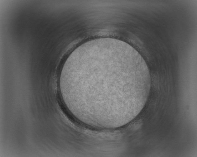 X0000067510016200604211803