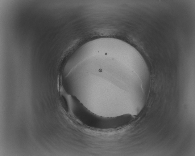 X0000067510019200604211803