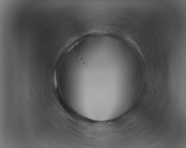 X0000067510020200604211803