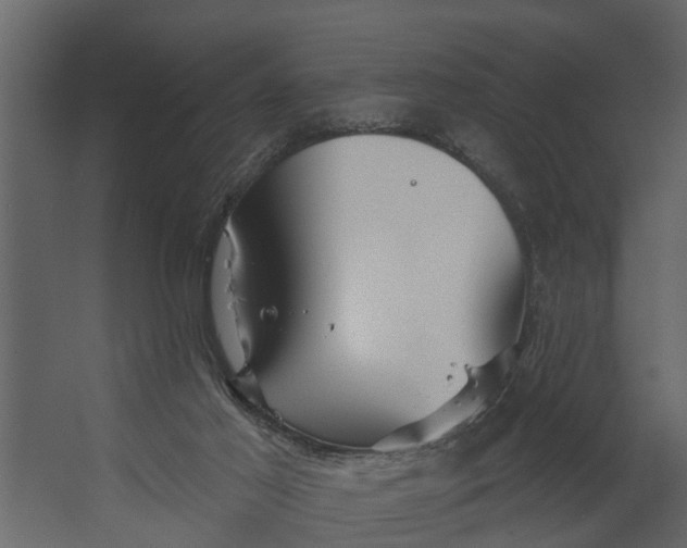 X0000067510021200604211803