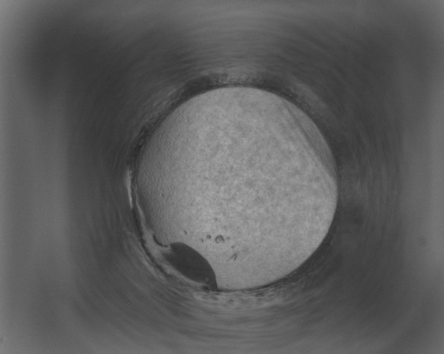 X0000067510022200604211803