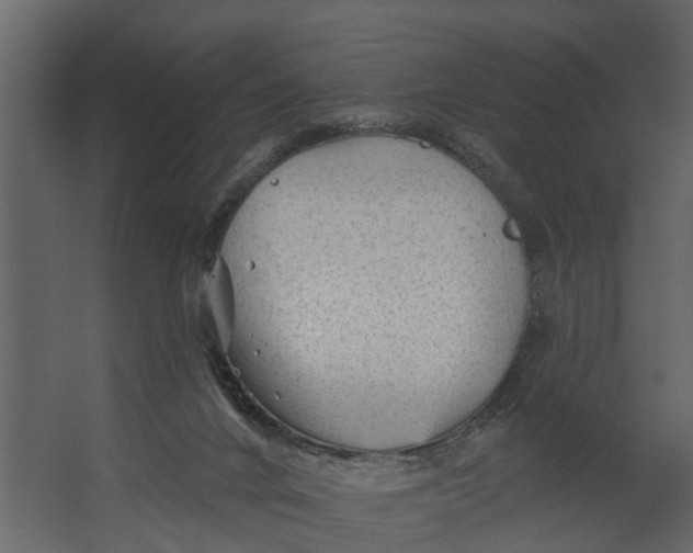 X0000067510024200604211802