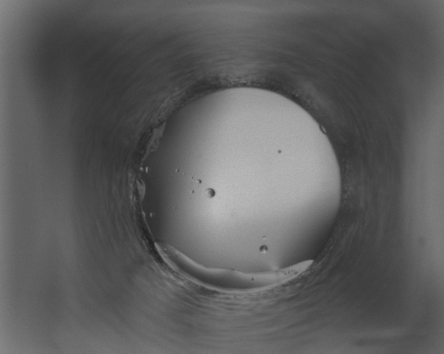 X0000067510025200604211802