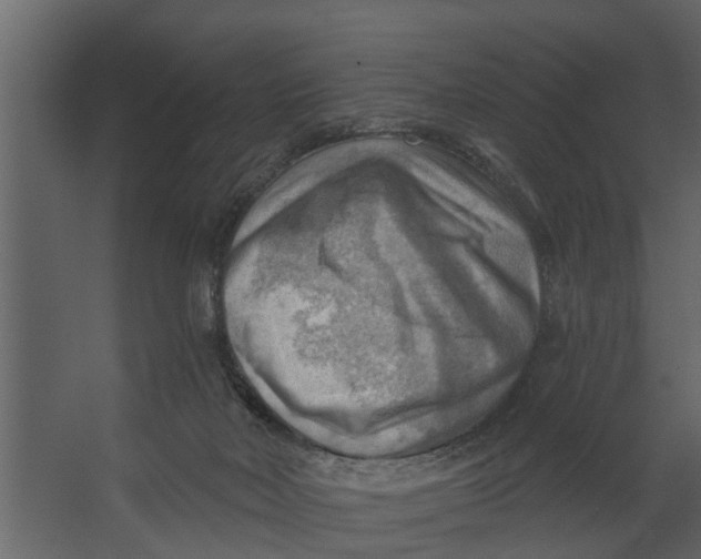 X0000067510026200604211802