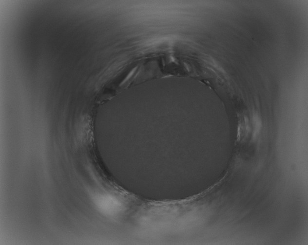 X0000067510029200604211802