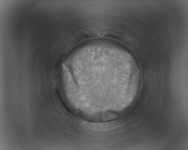 X0000067510030200604211802