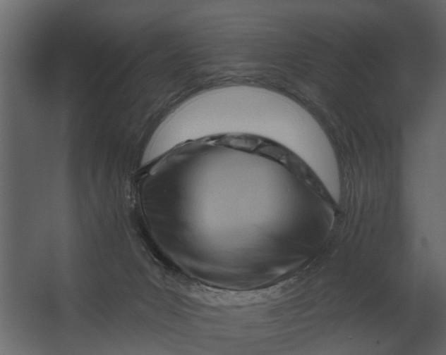 X0000067510031200604211802