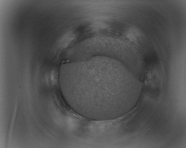 X0000067510033200604211802