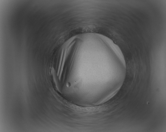 X0000067510038200604211802