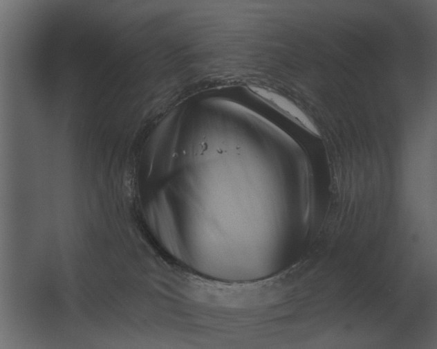 X0000067510039200604211802