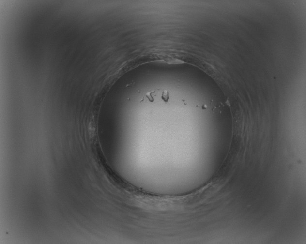 X0000067510040200604211802