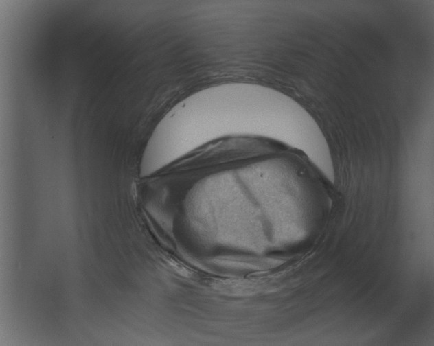 X0000067510041200604211802