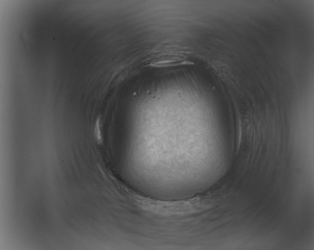 X0000067510042200604211802