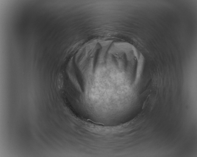 X0000067510043200604211802