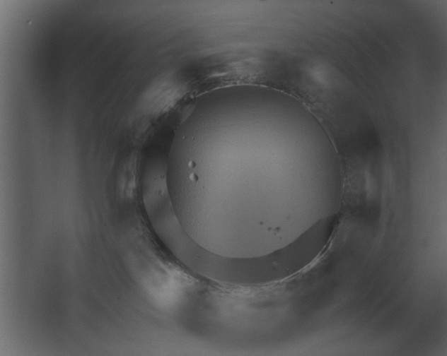 X0000067510045200604211802