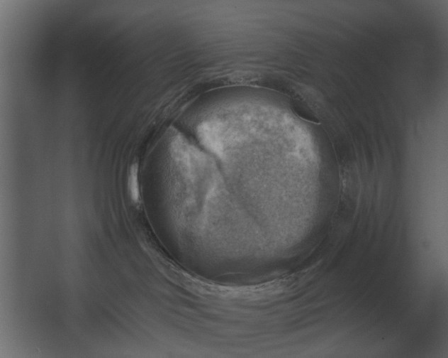 X0000067510046200604211802