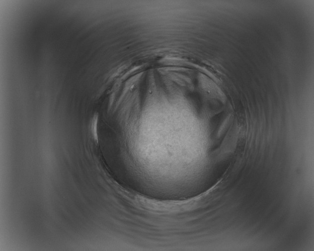 X0000067510047200604211802