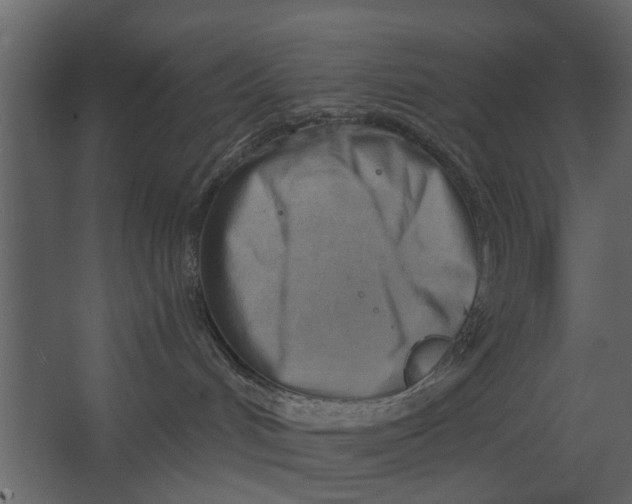 X0000067510048200604211802