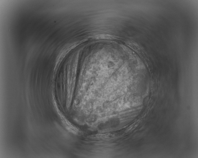 X0000067510049200604211801