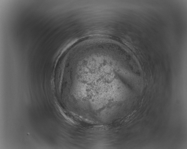 X0000067510050200604211801