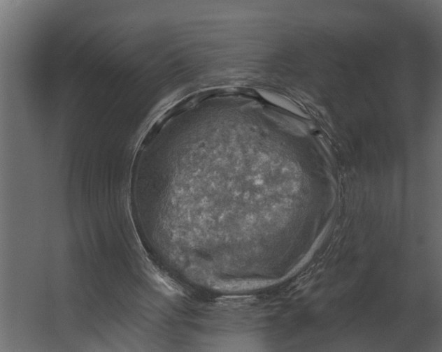 X0000067510051200604211801