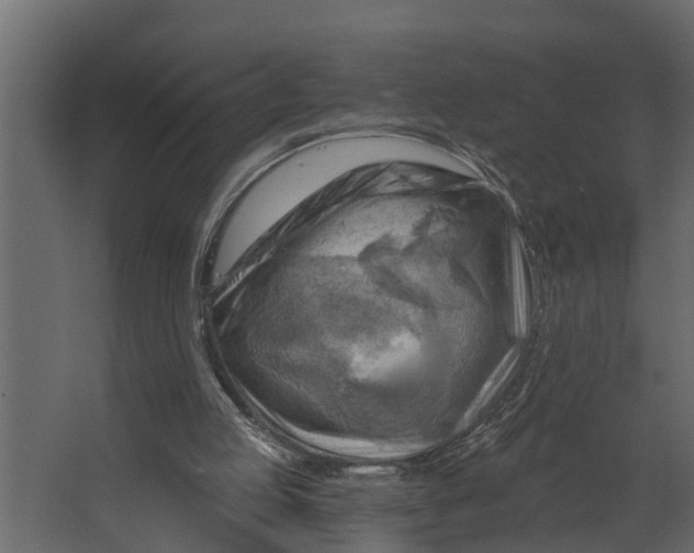 X0000067510053200604211801