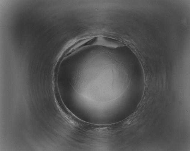 X0000067510054200604211801