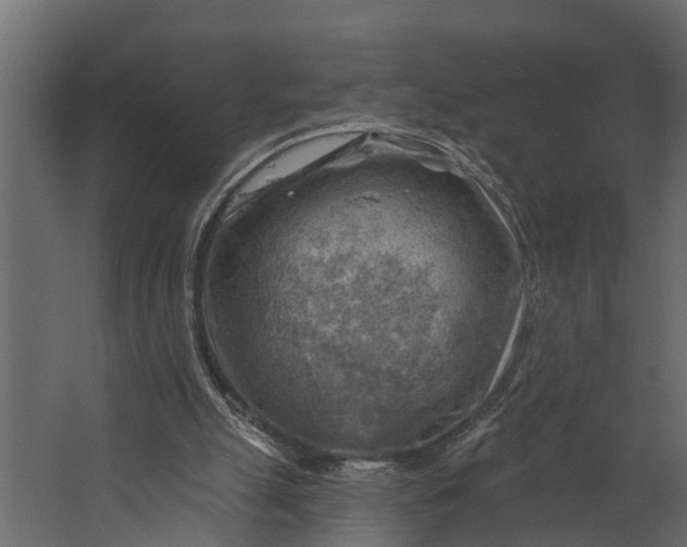 X0000067510055200604211801