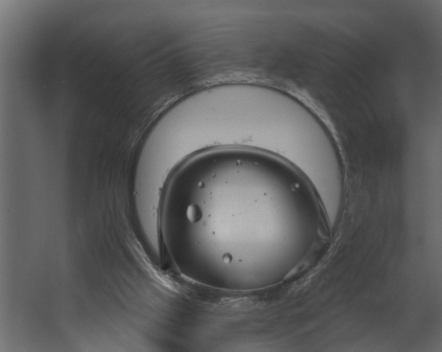 X0000067510057200604211801