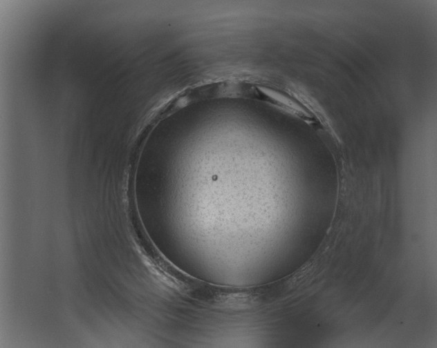 X0000067510058200604211801