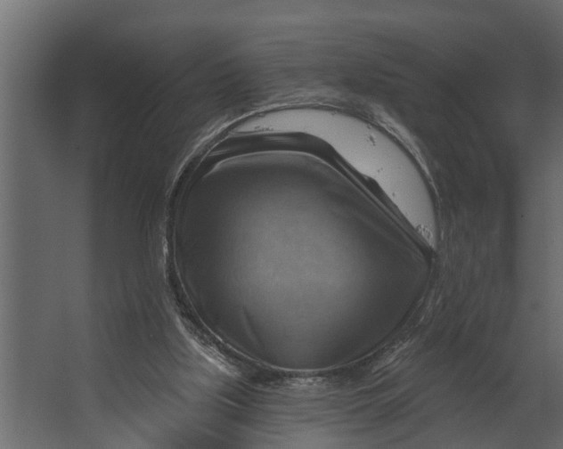 X0000067510059200604211801