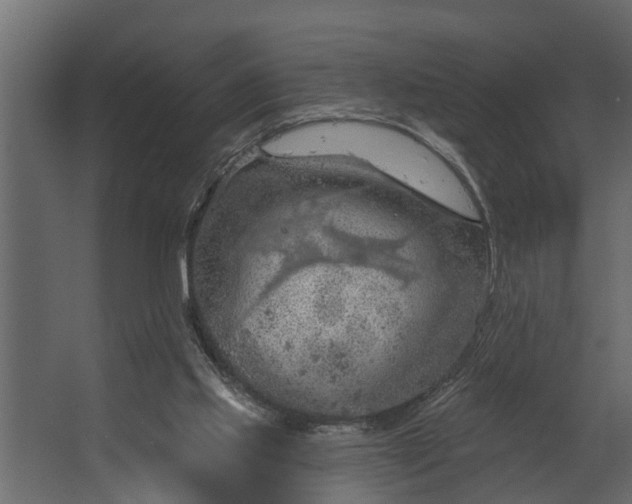 X0000067510061200604211801