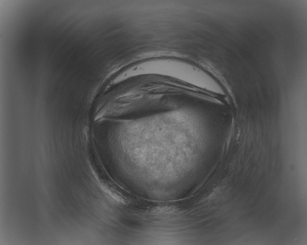 X0000067510063200604211801