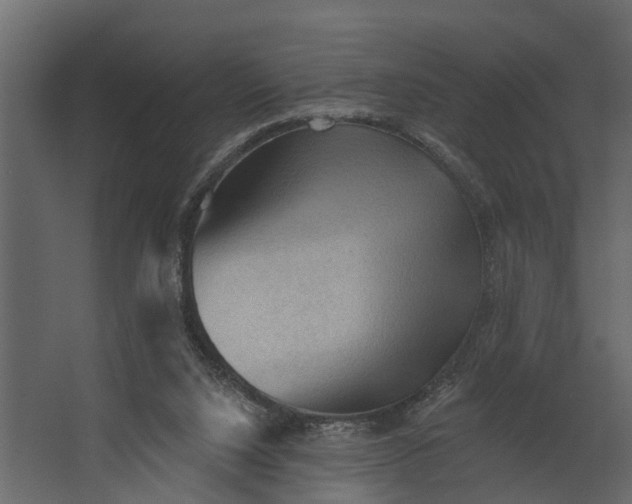 X0000067510064200604211801