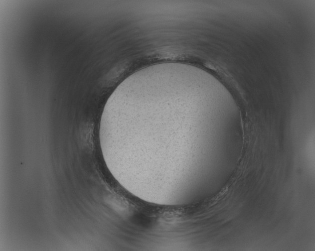 X0000067510066200604211802