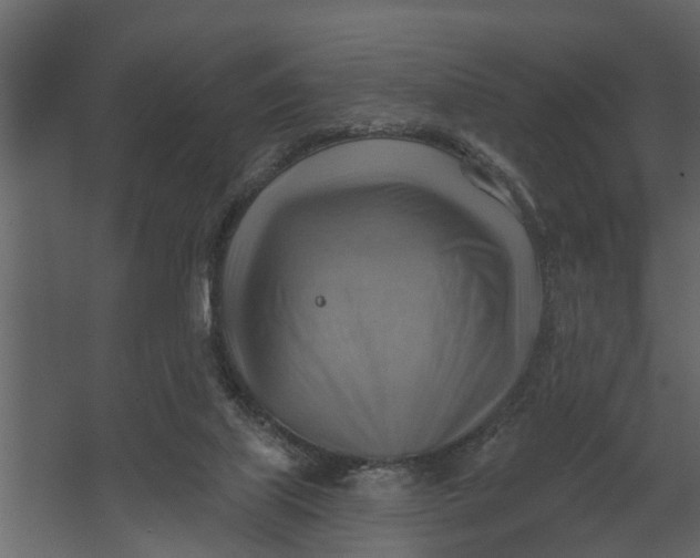 X0000067510067200604211802