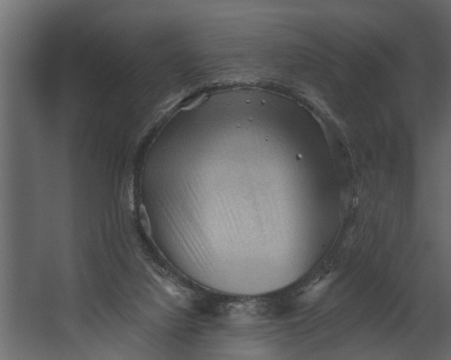 X0000067510068200604211802