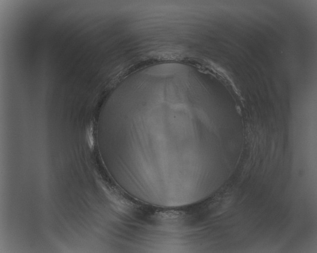 X0000067510069200604211802