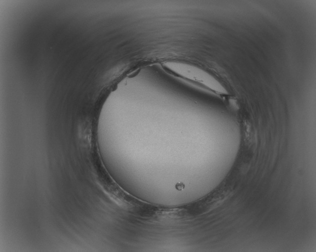 X0000067510072200604211802