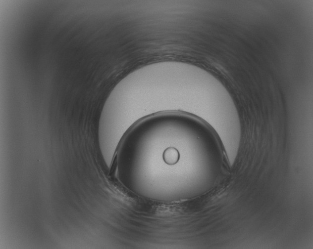 X0000067510077200604211802