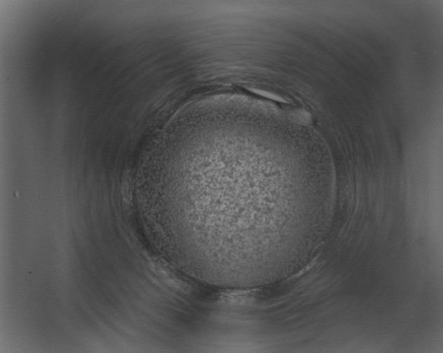 X0000067510078200604211802