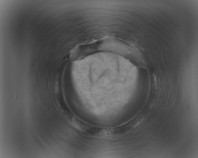 X0000067510080200604211802