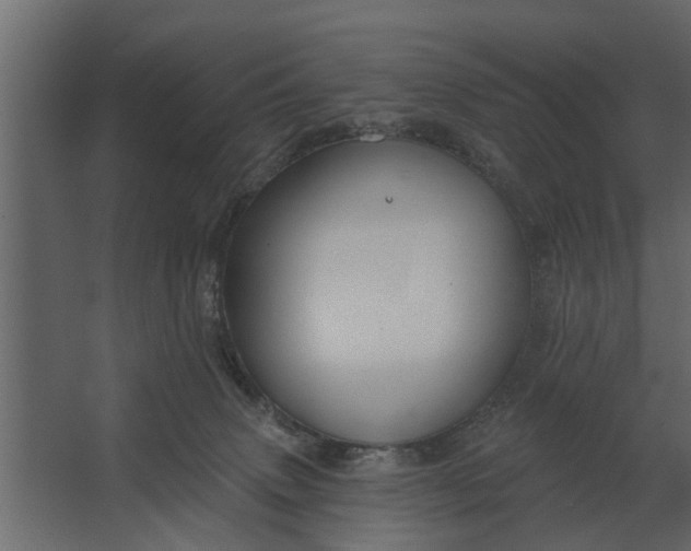 X0000067510083200604211802