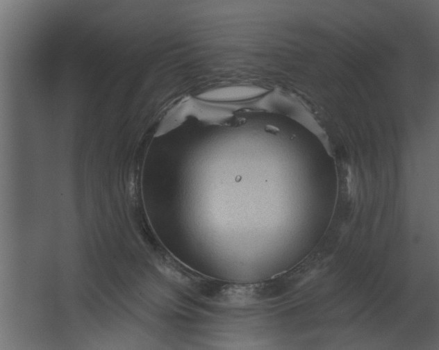 X0000067510084200604211802