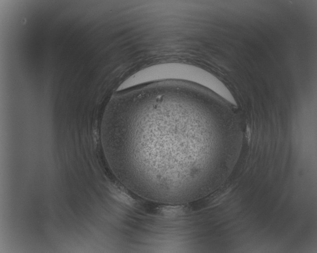 X0000067510085200604211802